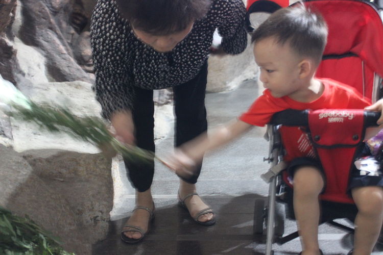 微信图片_201907080924204.jpg