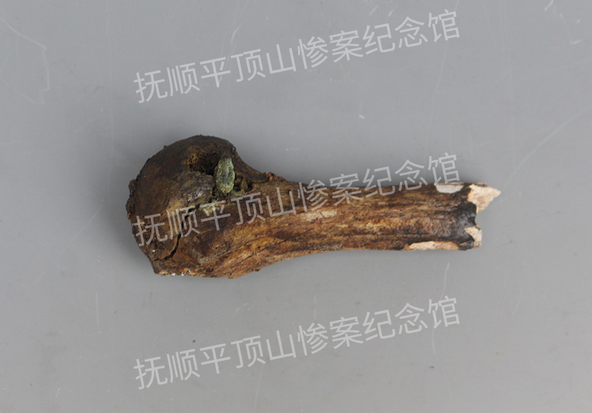 总11-1932年平顶山惨案遗址带弹头的骨头.jpg