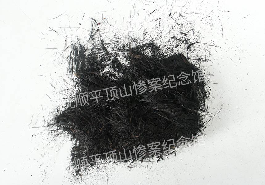 总172-1932年平顶山惨案遇难者的头发.jpg